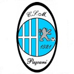 Escudo do Paşcani