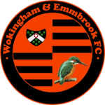 Escudo do Wokingham Town