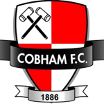 Escudo do Cobham