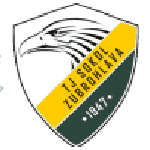 Escudo do Sokol Zubrohlava