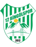 Escudo do 12 Bingölspor