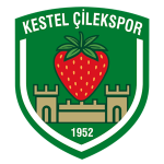 Escudo do Kestel Çilek