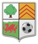 Escudo do Llwydcoed
