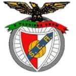 Escudo do Angrense