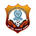 Escudo do Police XI