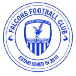 Escudo do Falcons