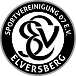 Escudo do Elversberg II