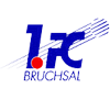 Escudo do Bruchsal