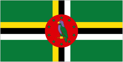 Escudo do Dominica U20