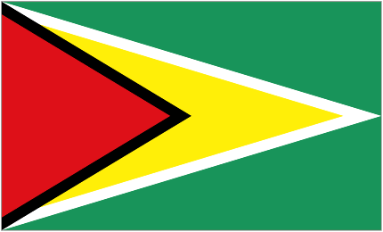 Escudo do Guyana U20