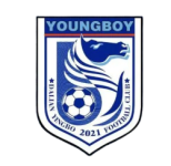 Escudo do Dalian Yingbo B