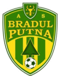 Escudo do Bradul Putna