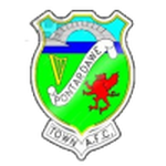 Escudo do Pontardawe Town
